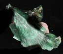 Chatoyant, Fibrous Malachite Crystals - Congo #33800-1